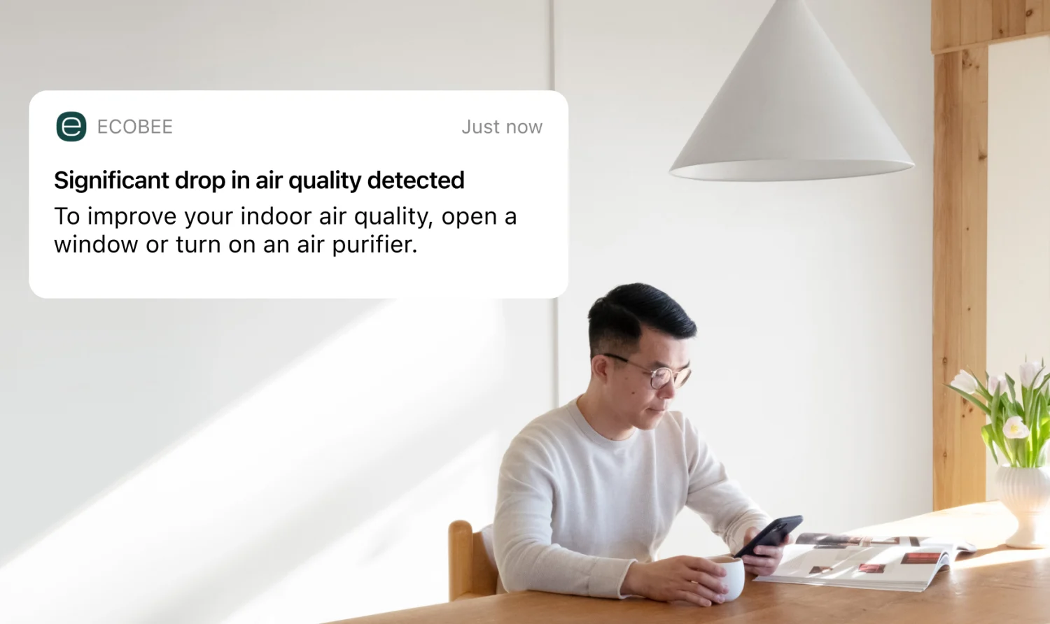 Breathe better with air quality Ecobee Smart Thermostat Premium